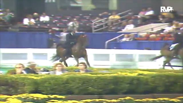 1992 WCHS Class 8 ASB Five Gaited Sho...