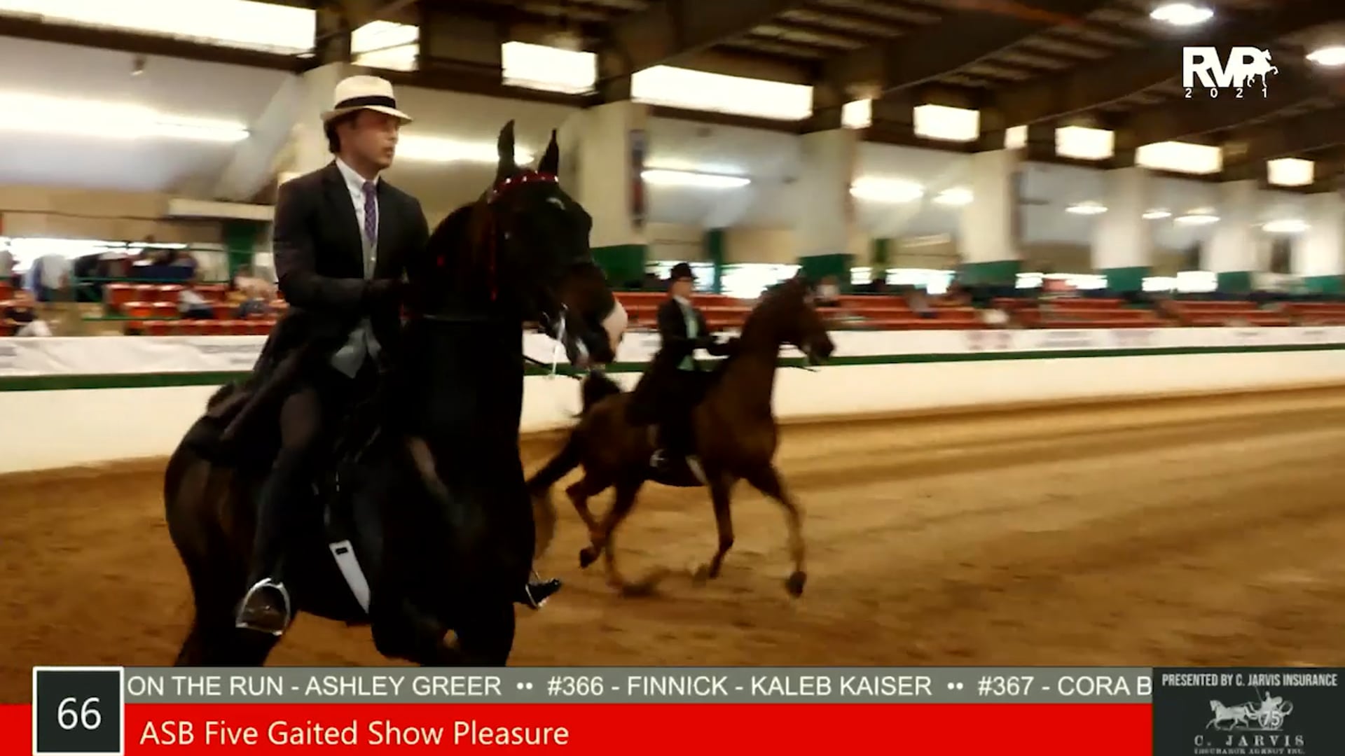 SS21 - Class 66 - ASB Five Gaited Show Pleasure