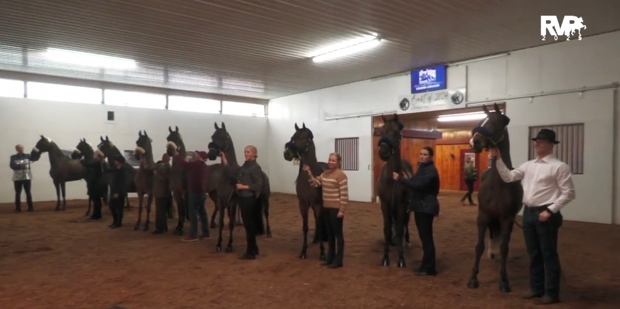 2025 AMHA Annual Conference & Meeting - Champions Clinic at Grove Pointe Stables