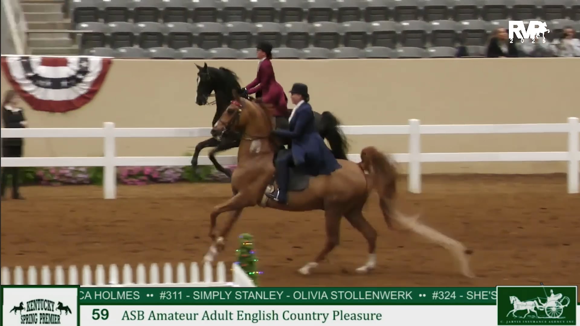 KYSP25 - Class 59 - ASB Amateur Adult English Country Pleasure