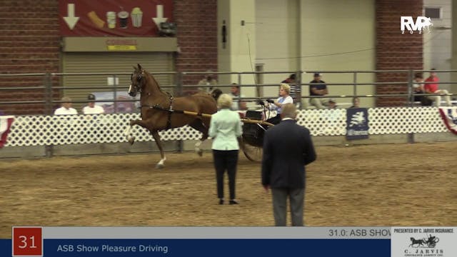 AAC22 - Class 31 -  ASB Show Pleasure...