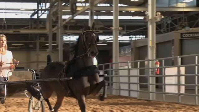 2022 All American Horse Classic - Wed...