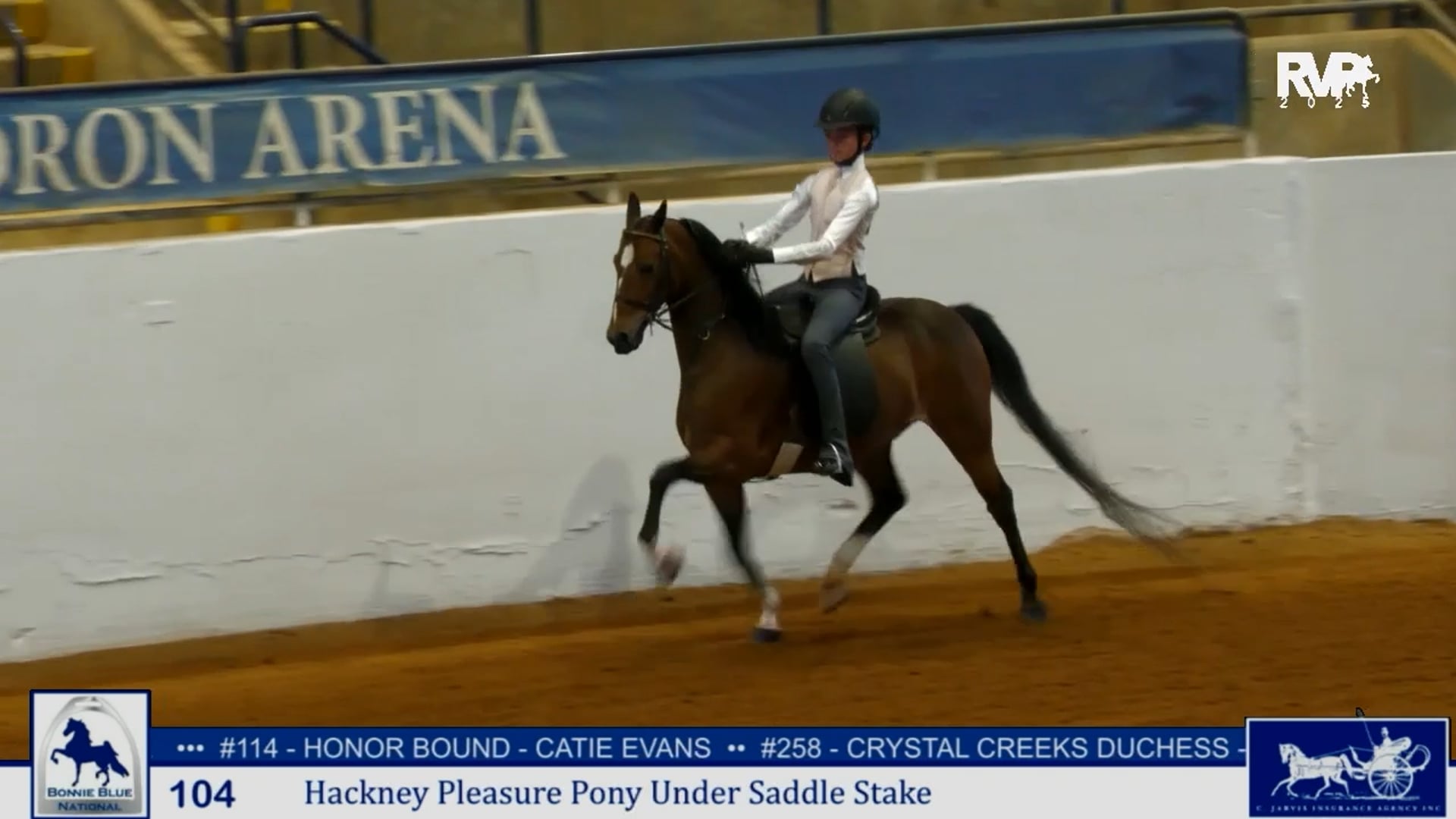 BB25 - Class 104 - Hackney Pleasure Pony Under Saddle Stake