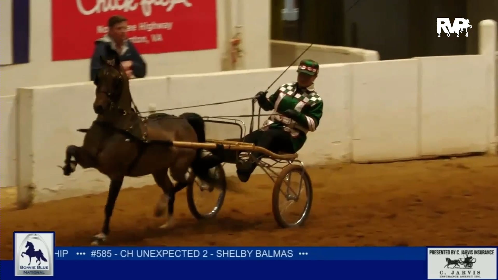 2025 Asheville Saddlebred Classic - Wednesday Morning 