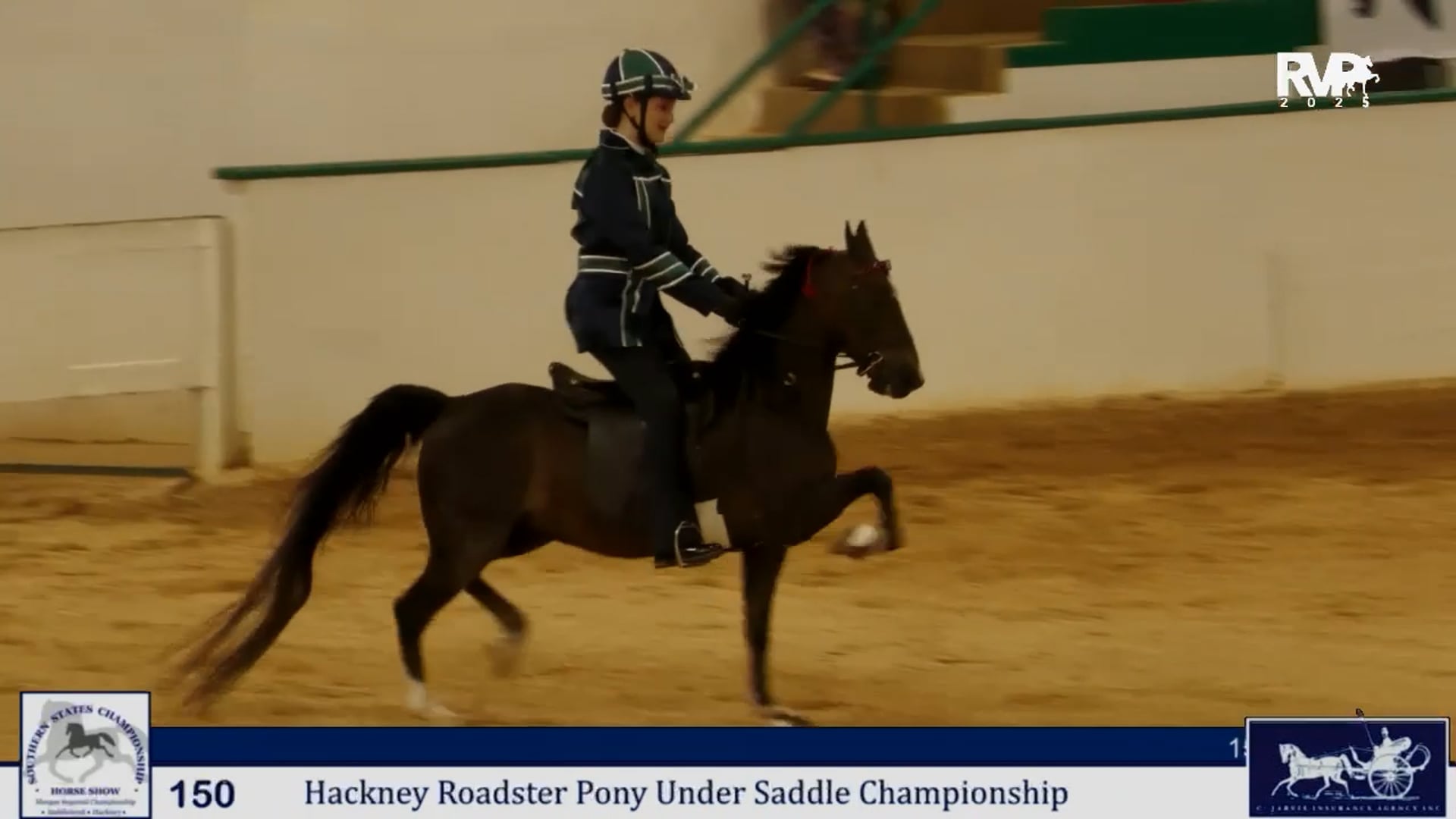 SS25 - Class 150 -  Hackney Roadster Pony Under Saddle Championship