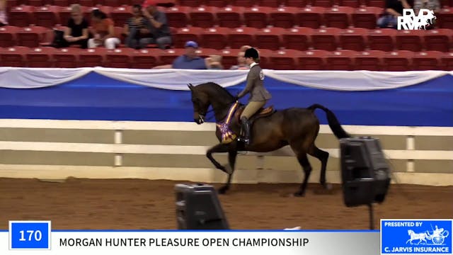 2019 Blue Ridge Classic Horse Show - ...