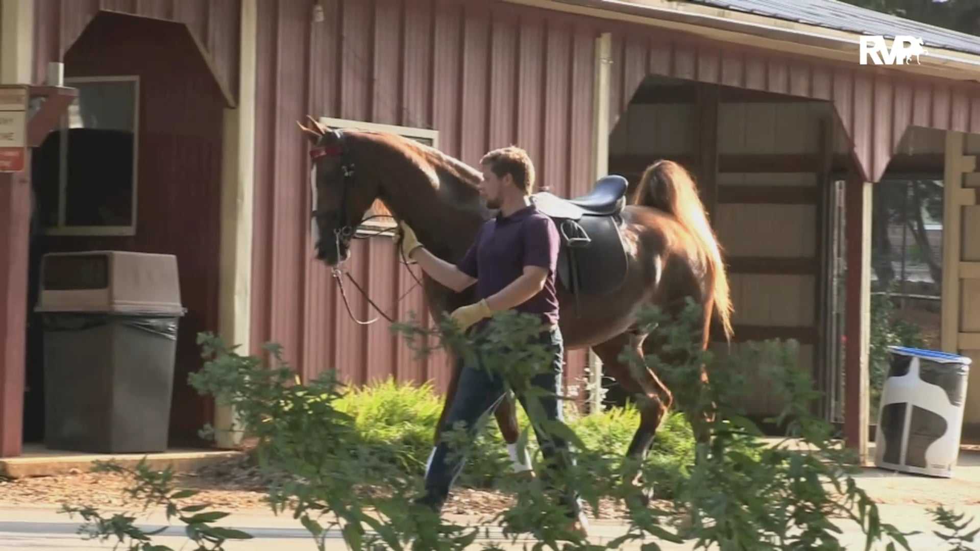 2019 North Carolina State Championship - Wednesday Night