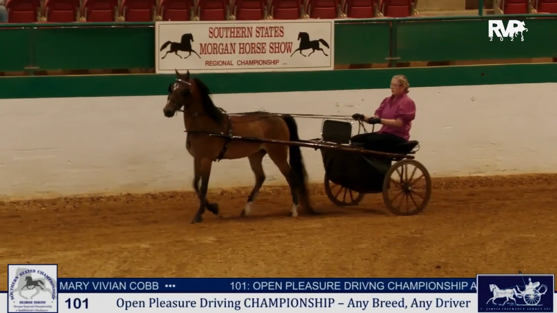 SS25 - Class 101 - Open Pleasure Driving Championship - Any Breed:Driver