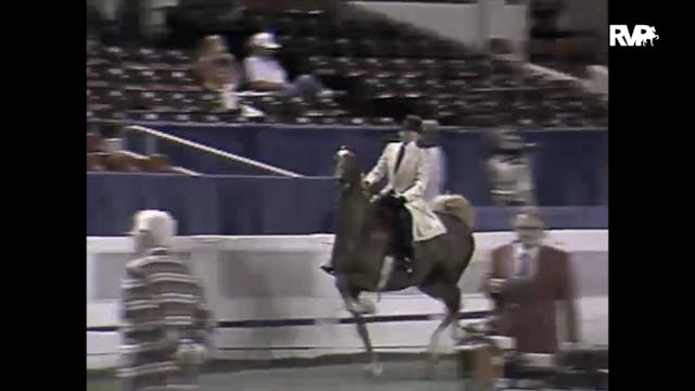 1997 WCHS - Class 78 Five Gaited Pony...