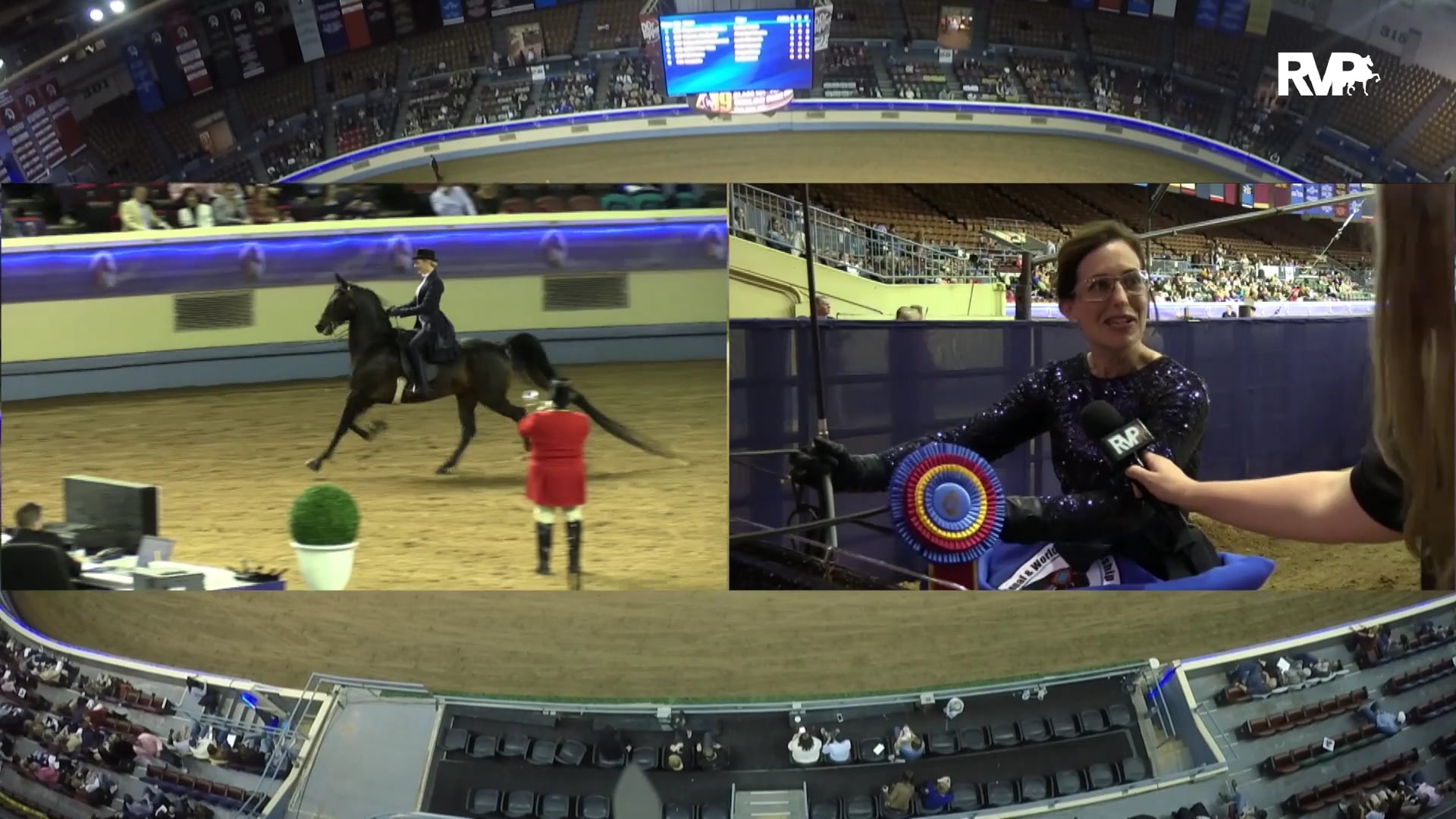 MGN19 - Playmors Prinz of Bellair - Class 180