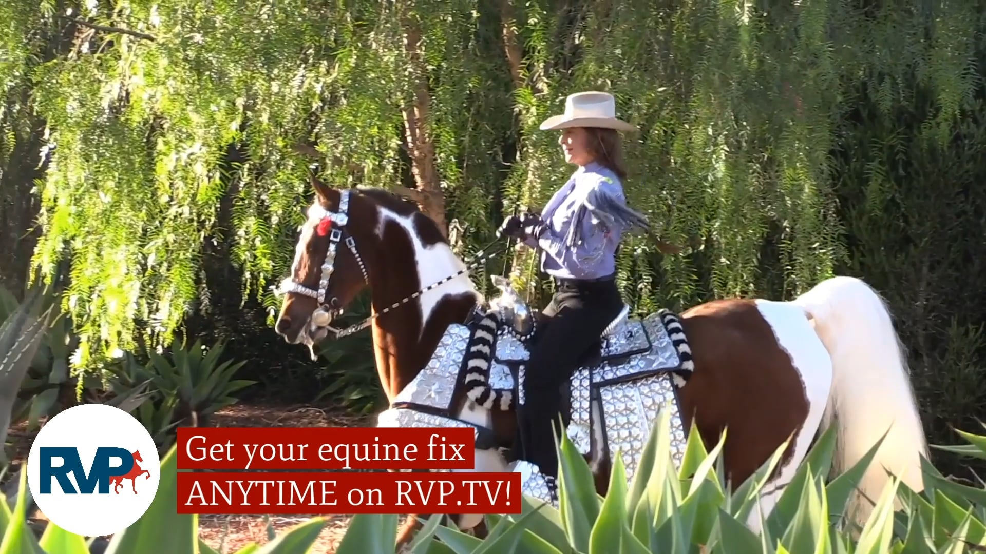 RC21 - Class 30.1 - Our Northern Belle and Ava Lambert, up