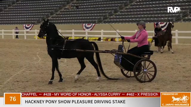KFC 2020 - Class 76 Hackney Pony Show...