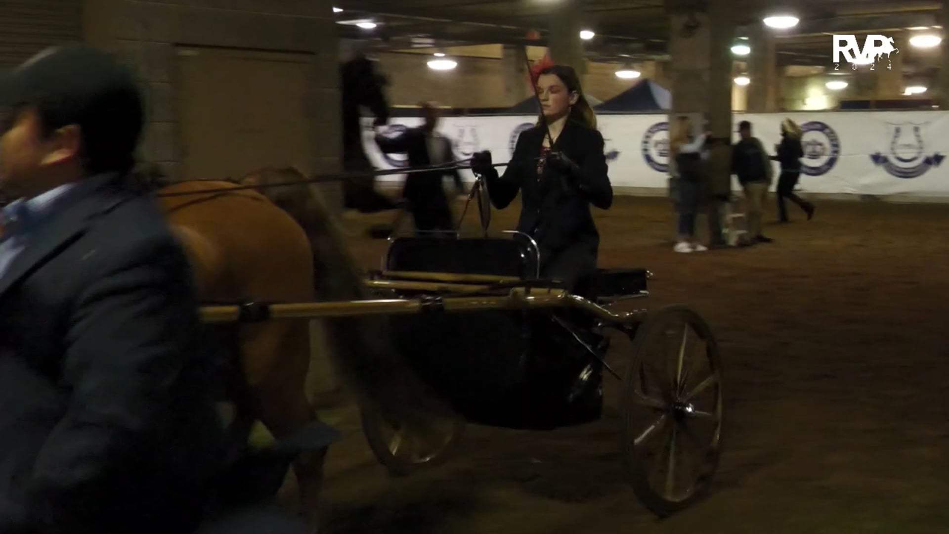 AR24 - Class 78 - Show Pleasure Driving Jr Exhibitor 17 & Under