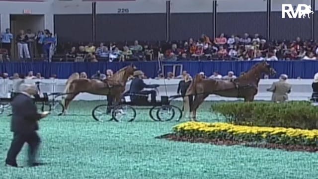 2009 World's Championship Horse Show ...