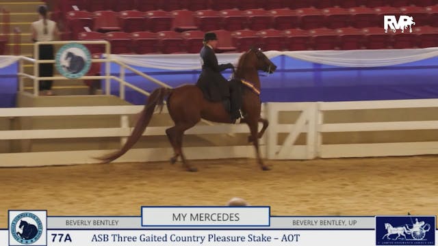 ASF25 - Class 77A - ASB Three Gaited ...