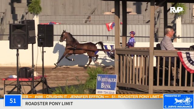 2020 MCF - Class 51 Roadster Pony Limit