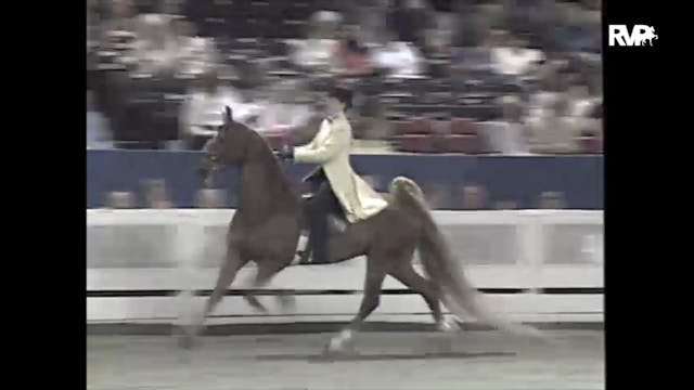 1997 WCHS - Class 136 Junior Exhibito...