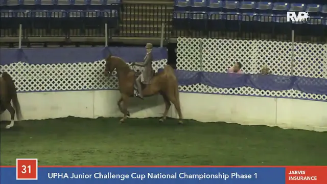 2015 American Royal - Wednesday 8-30 AM