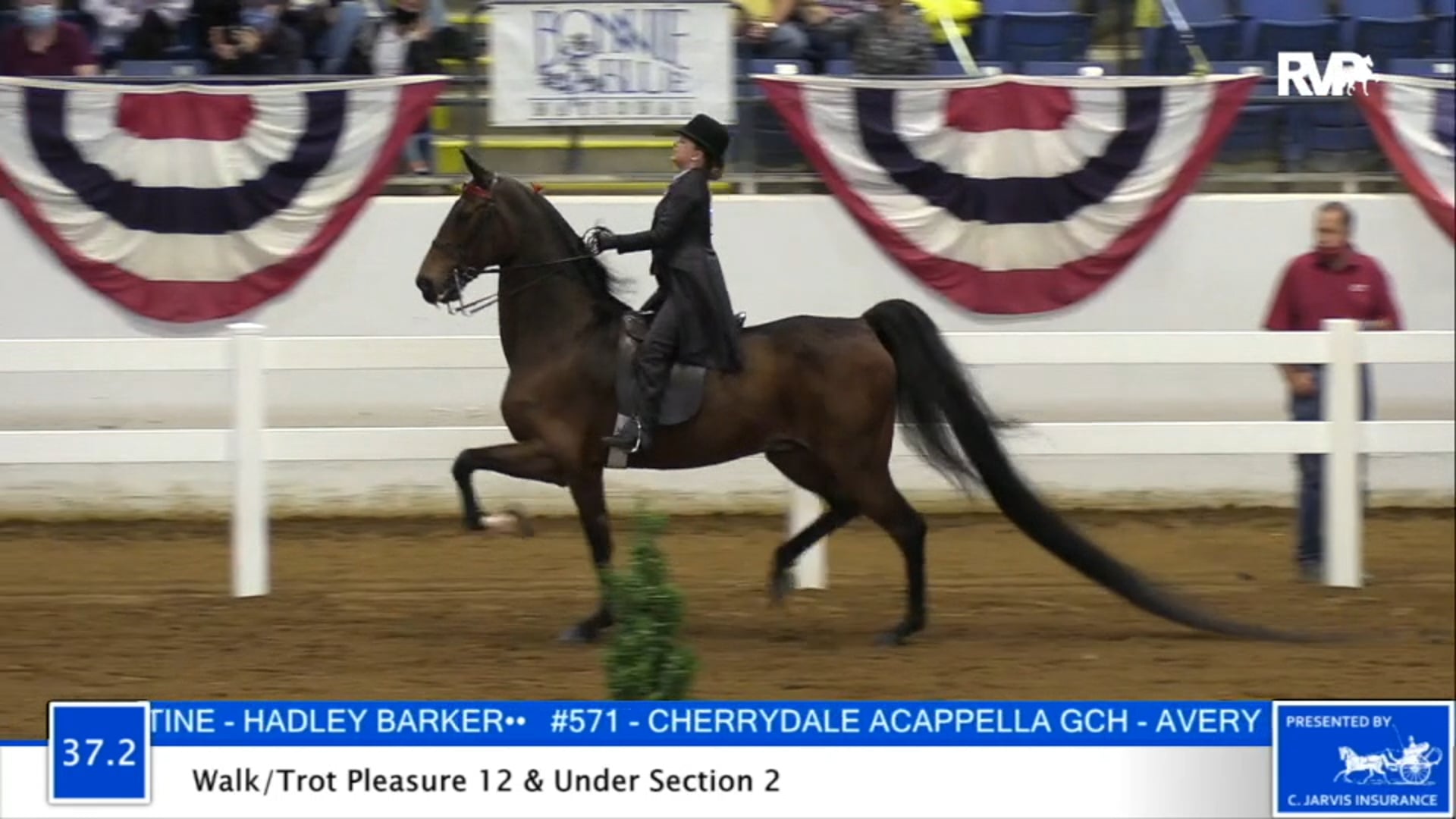 2020 BB - Class 37.2 Walk Trot Pleasure 12 & Under
Division 2