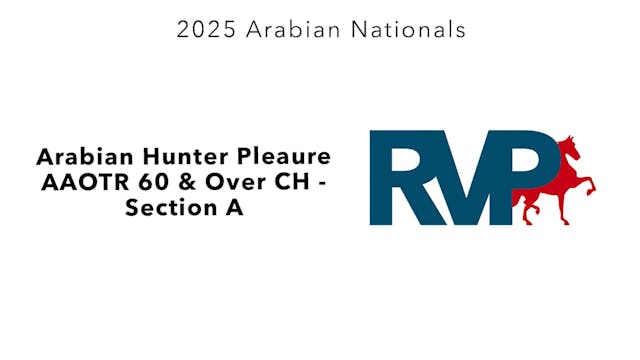 AN25 - Class 2937a - Arabian Hunter P...
