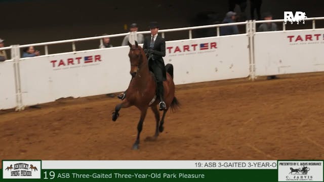 KYSP24 - Class 19 - ASB Three Gaited ...