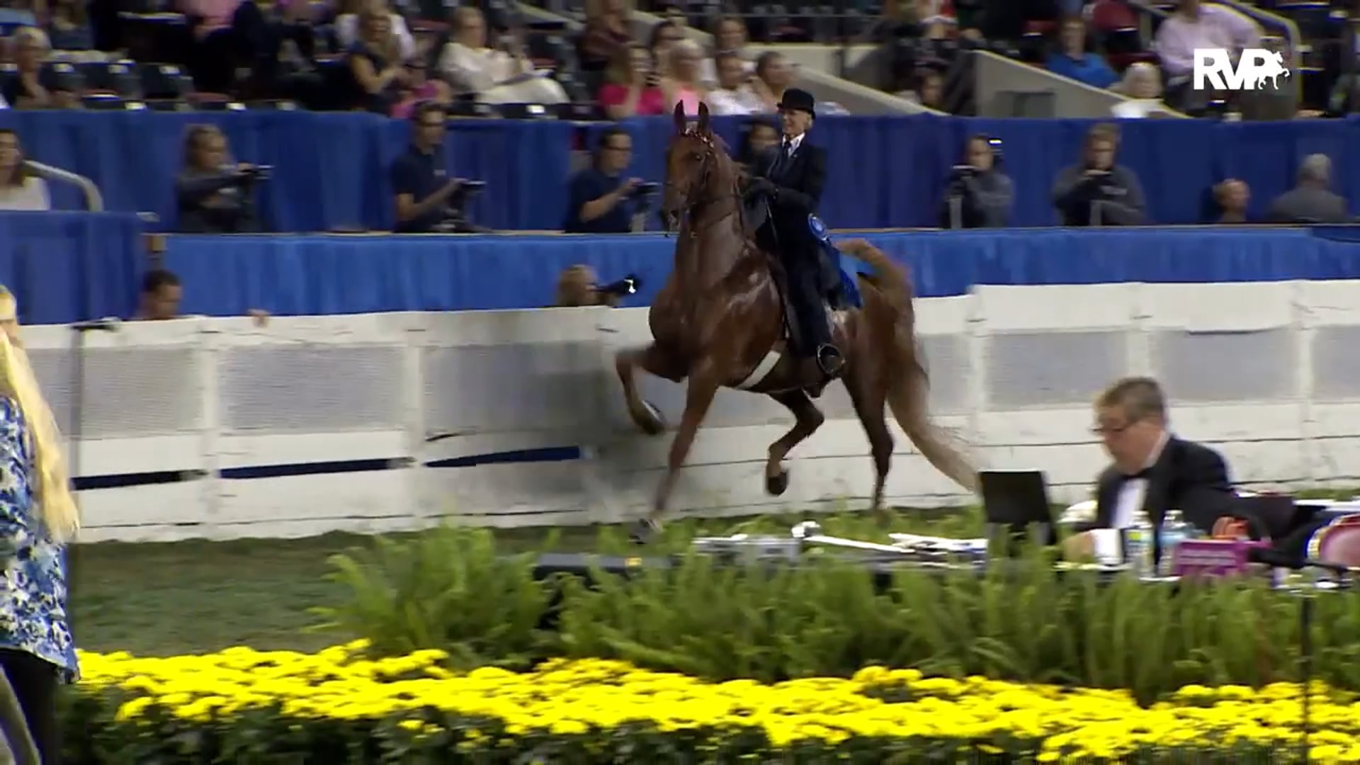 WCHS15 - Elisabeth Goth on Bravo Blue with an Extended Interview