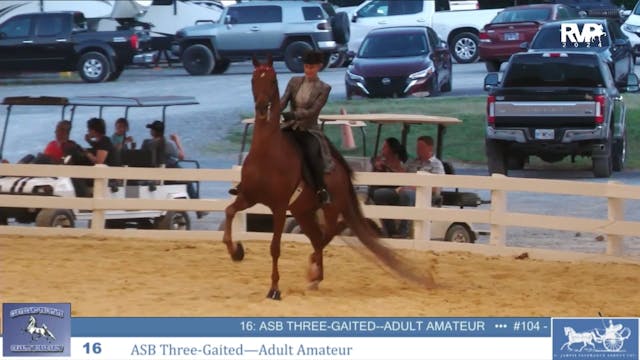 CTSC24 - Class 16 -  ASB Three Gaited...