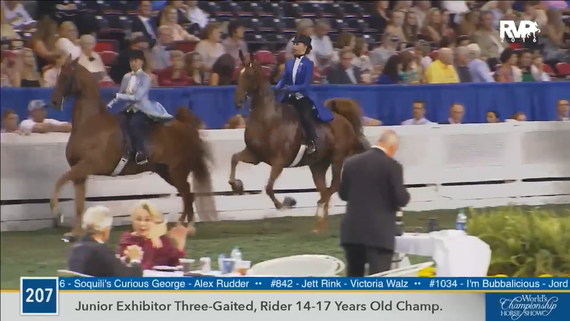 WCHS16 - Class 207 - Junior Exhibitor Three Gaited, Riders 14 to 17 Years Old, Championship