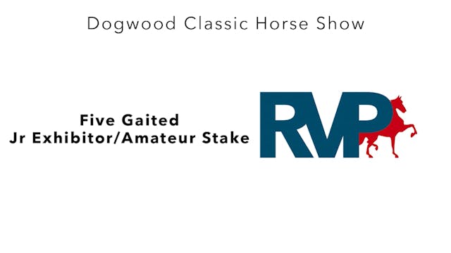 DC24 - Class 79 - Five Gaited Jr Exhi...