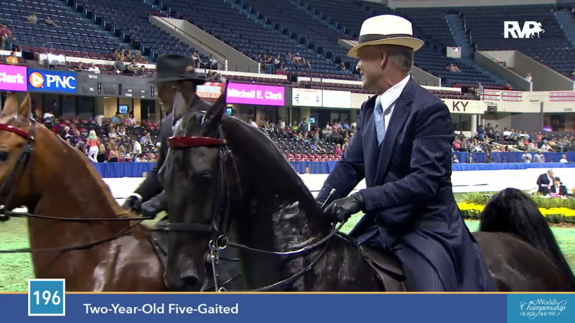 2015 WCHS - Class 196 Two Year Old Five Gaited 