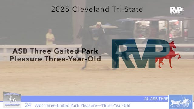 CTS25 - Class 24 - ASB Three Gaited P...