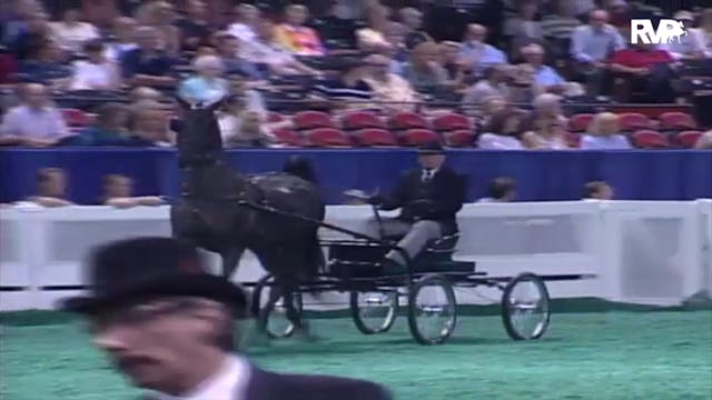 2000 WCHS Class 5 Junior Fine Harness...