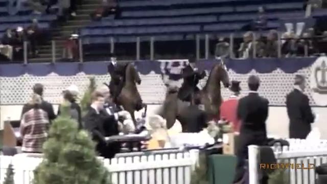 2011 KC Five Gaited Grand Championship