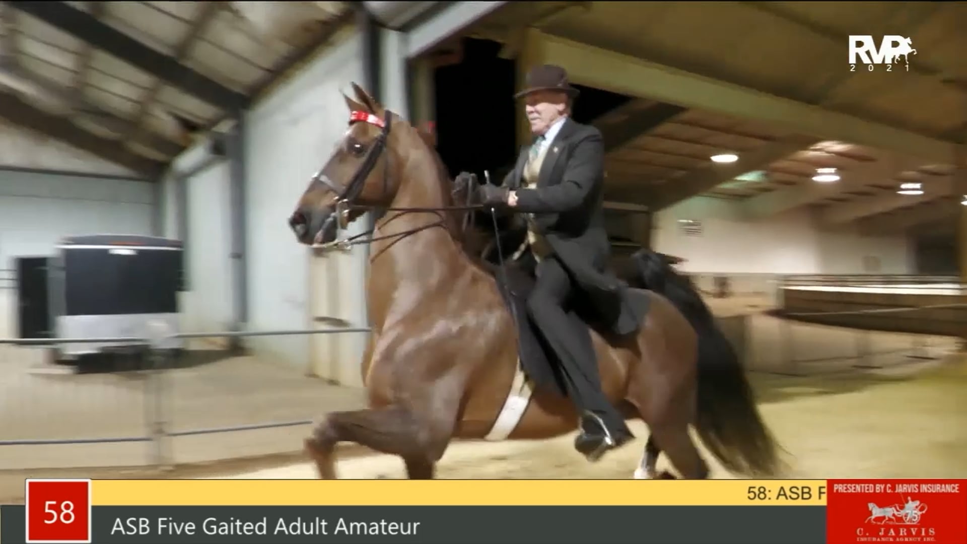 PA21 - Class 58 ASB Five Gaited Adult Amateur