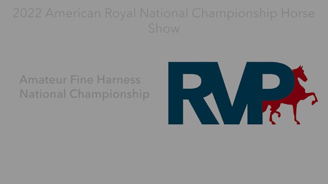 AR22 - Class 147 - Amateur Fine Harne...