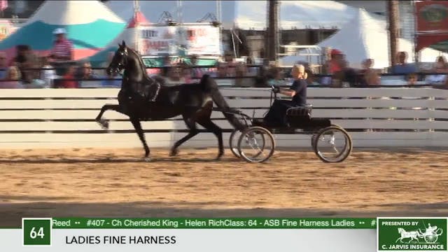 2017 RC - Class 64 Ladies Fine Harness 