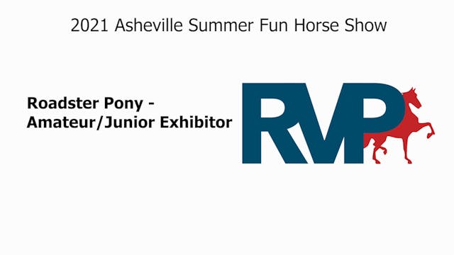 ASF21 - Class 18 - Roadster Pony - Am...