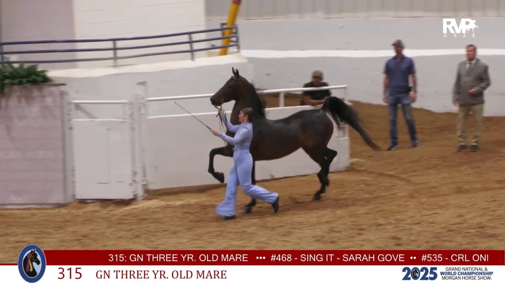 MGN25 - Class 315 - GN Three Year Old Mare