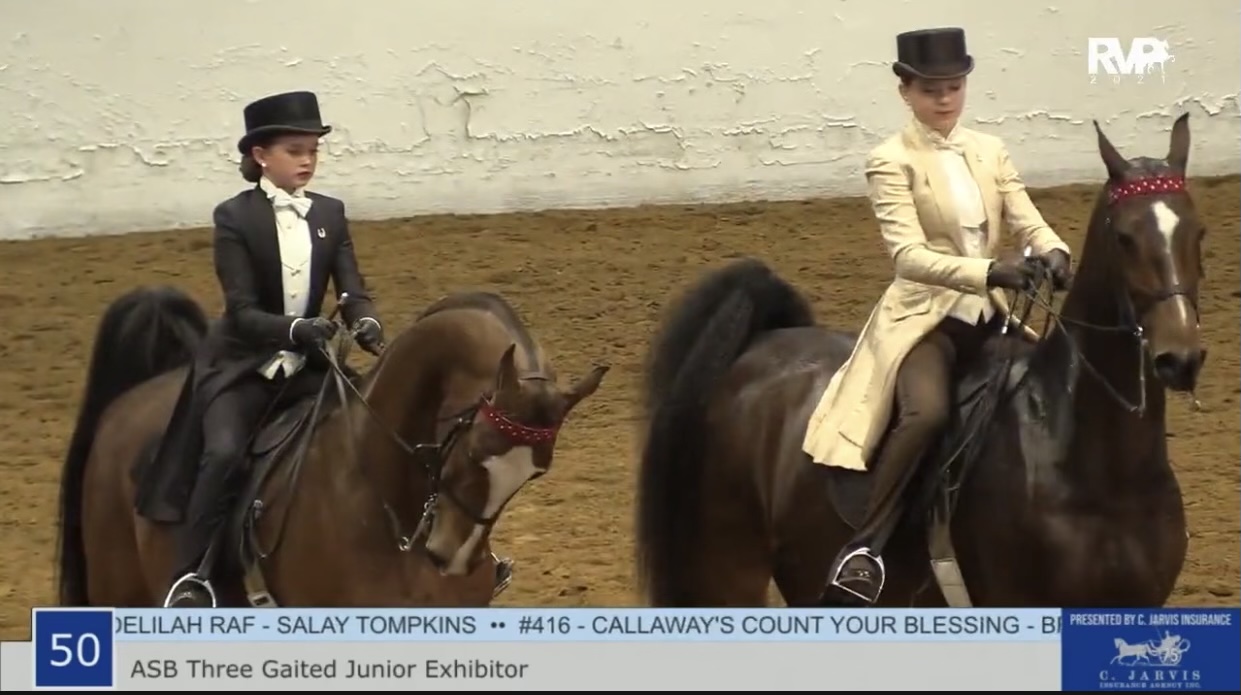 BB21 - Class 50 - ASB Three Gaited Junior Exhibitor