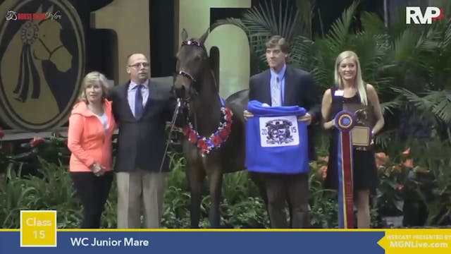 2015 MGN - Class 15 WC Junior Mare