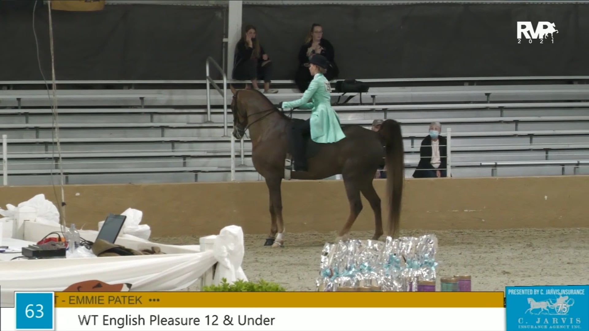 BS21 - Class 63 - WT English Pleasure 12 & Under