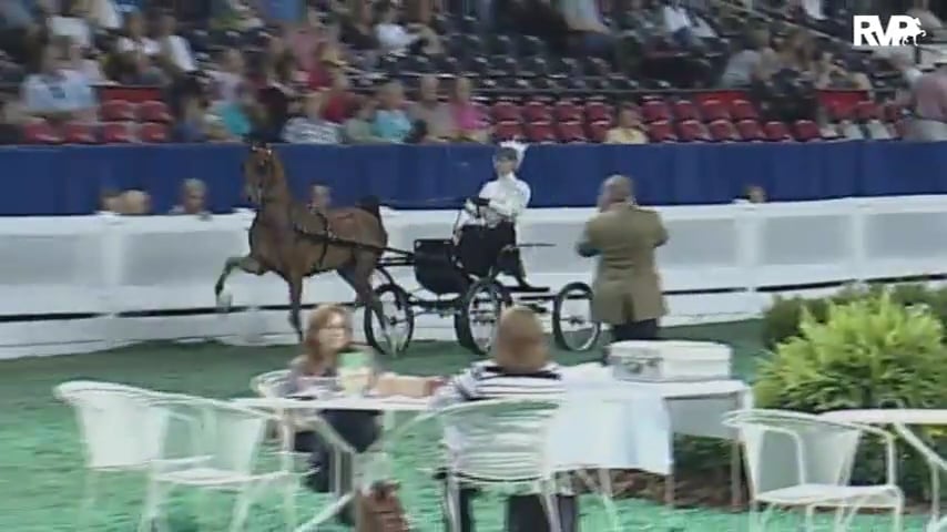 2010 World's Championship Horse Show Class 79 Four Year Old Hackney Pony --