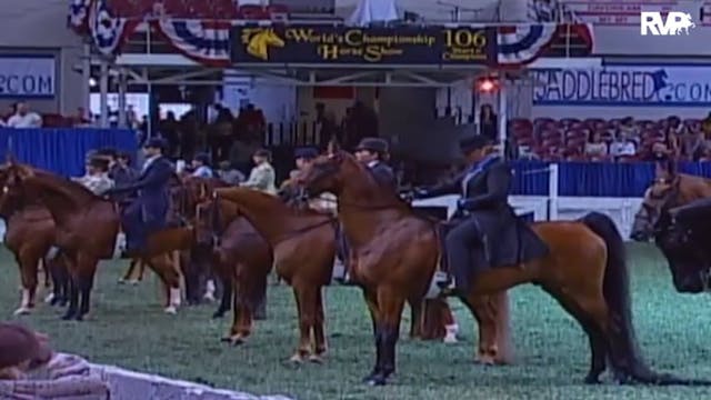 2009 World's Championship Horse Show ...