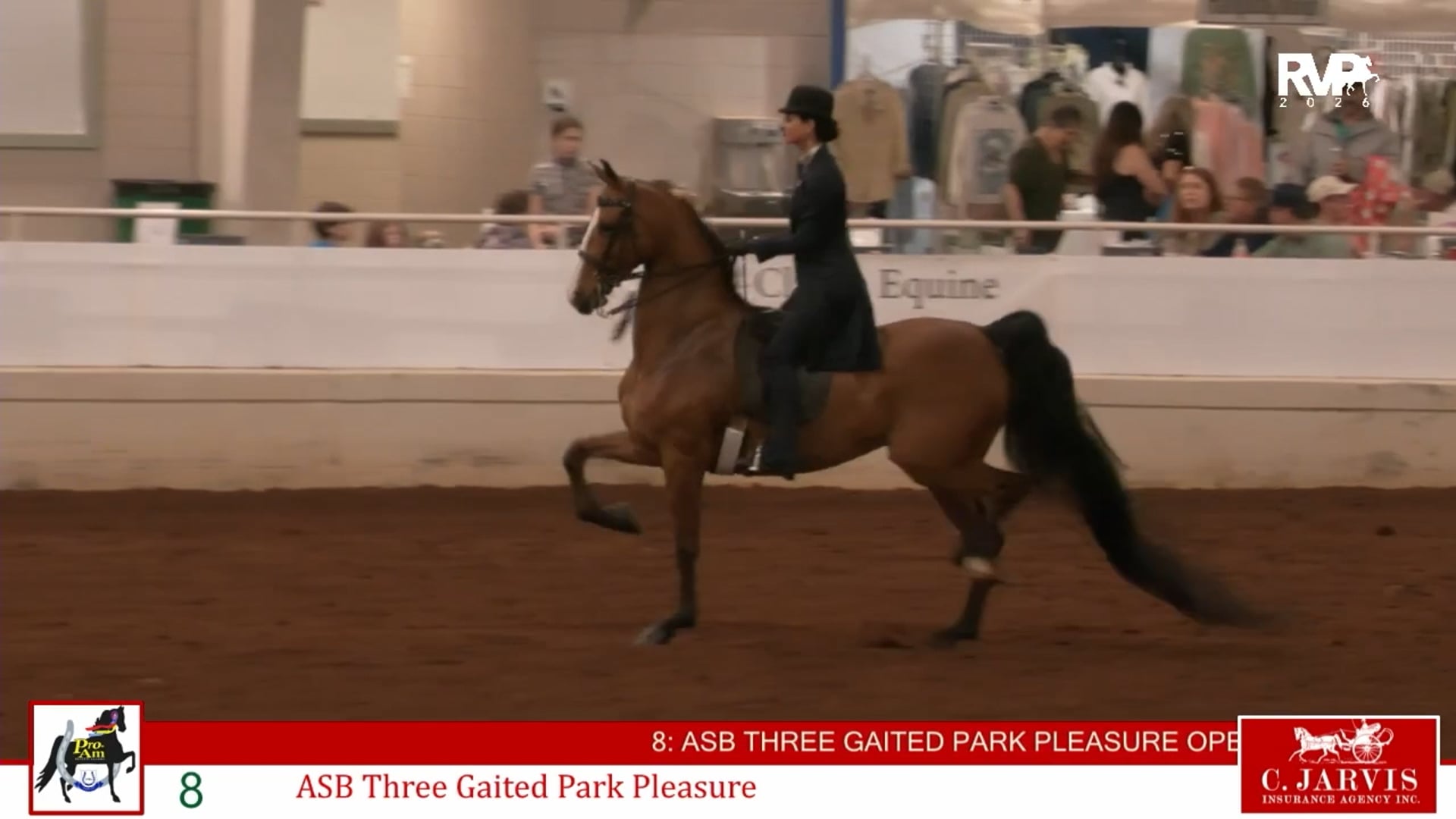 ProAm26 - Class 8 - ASB Three Gaited Park Pleasure