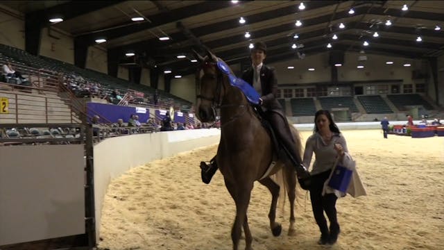 ProAm19 - Class 6 - HS Dreamgirl's Be...