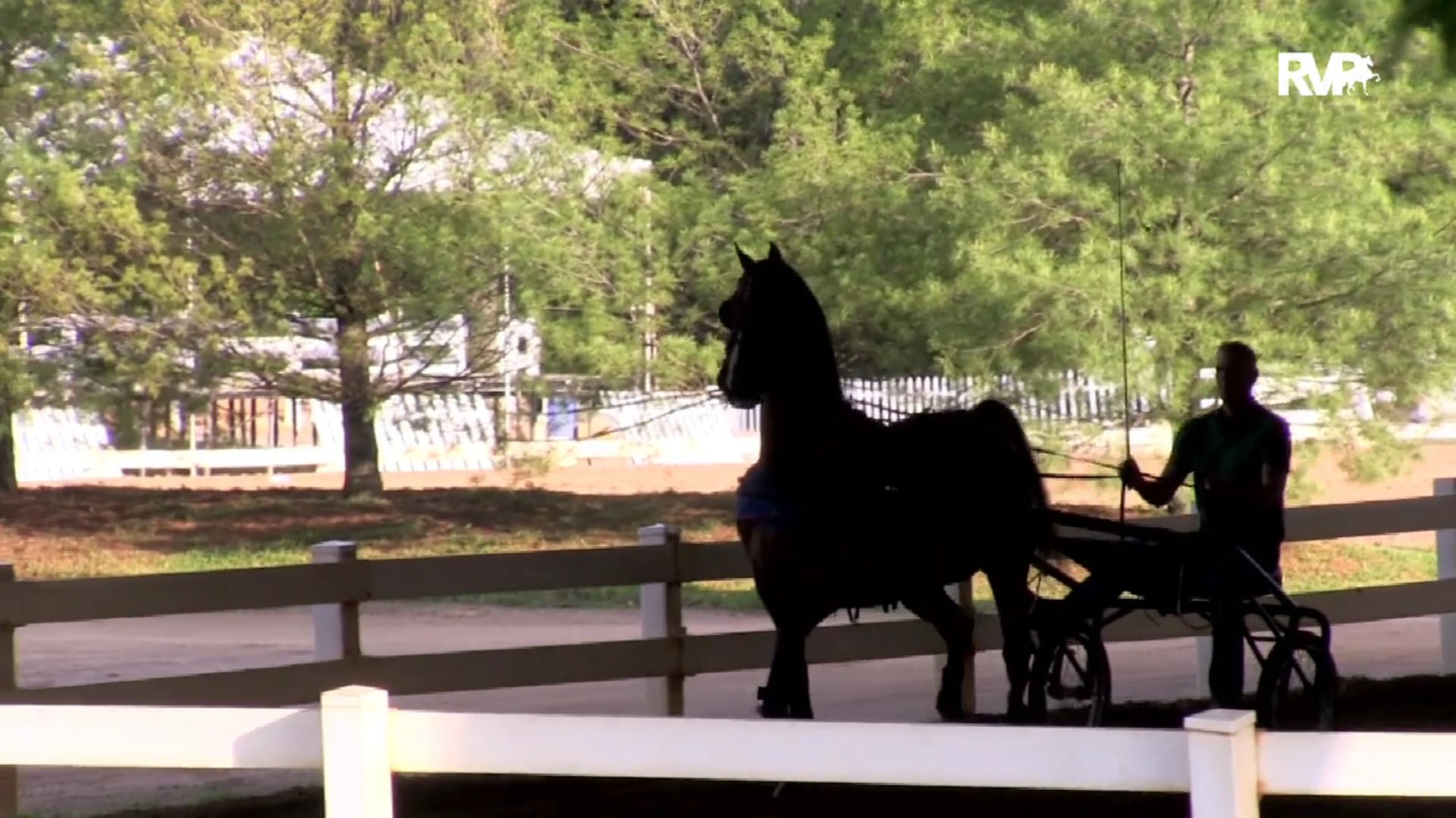 2019 Bonnie Blue National Horse Show - Thursday Evening