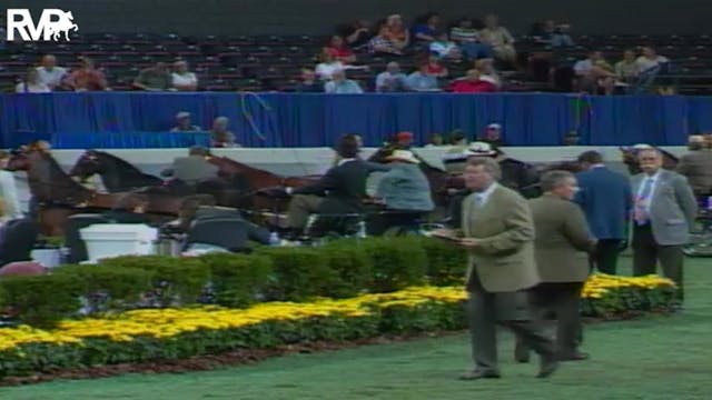 2004 World's Championship Horse Show ...