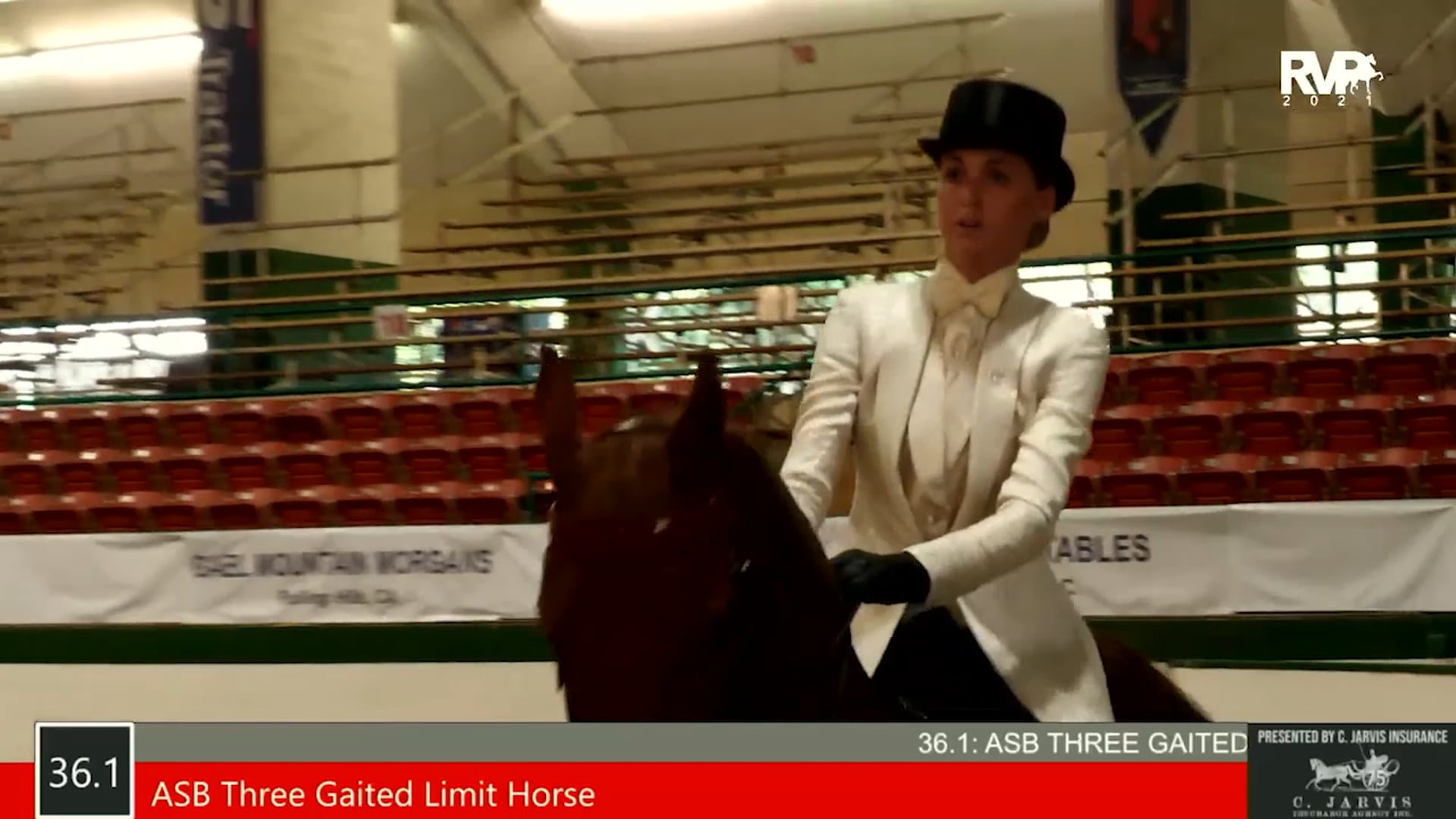 SS21 - Class 36.1 - ASB Three Gaited Limit Horse