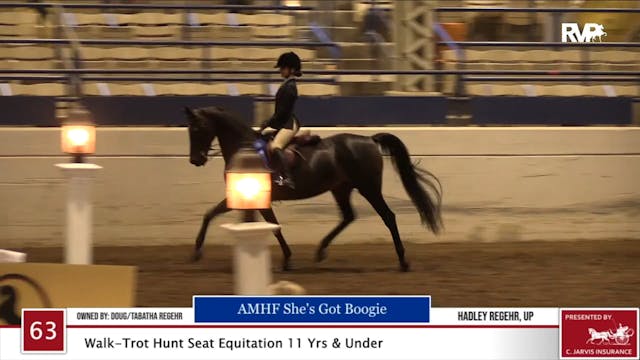 2020 JMHS - Class 63 Walk:Trot Hunt S...