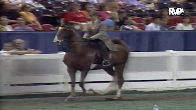 2000 WCHS Class 34 Three Gaited Pony ...